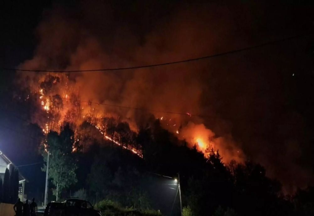 INNCENDIU DE PROPORȚII ÎNTR-O ZONĂ ÎMPĂDURITĂ DIN VÂLCEA