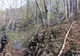 Un nou incendiu, în pădurile din nordul județului Vâlcea
