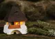 Daniel Ionescu, recurs la arhitectura tradiţională românească