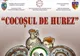 O nouă ediție a Târgului ceramicii populare româneşti "COCOŞUL DE HUREZ", 2019