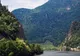 Un urs a coborât în zona Mănăstirii Turnu, în căutare de hrană. Zona este monitorizată