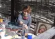 Măldărești plein air