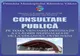 Consultare publică în Râmnicu Vâlcea