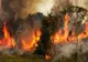 9 incendii de vegetație în Vâlcea