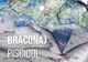 Braconaj piscicol și acțiuni de prevenție în Vâlcea
