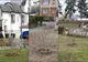 Acțiuni de plantare a copacilor în Râmnic, alături de voluntari