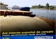 Exportul de cereale, interzis. Ordonanţa militară numărul 8