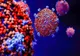 Noi date despre noua tulpină de coronavirus