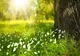 Prognoza meteo, actualizată: FENOMENE NEOBIȘNUITE, după temperaturile de vară