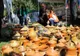 Meșteri Populari din România la Târgu Jiu