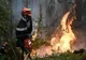 INCENDIILE DE VEGETAȚIE AFECTEAZĂ SUTE DE HECTARE ÎN ȘASE JUDEȚE DIN ȚARĂ. AUTORITĂȚILE LANSEAZĂ UN NOU APEL LA RESPONSABILITATE